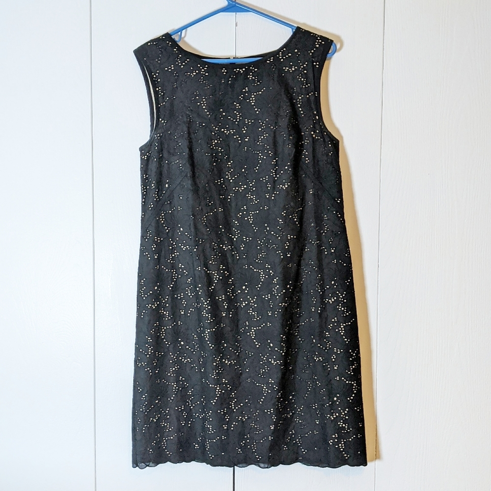 Loft black lace detail dress